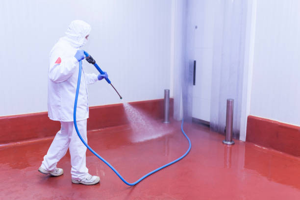 Best Winterizing Services  in Woodburn, IN