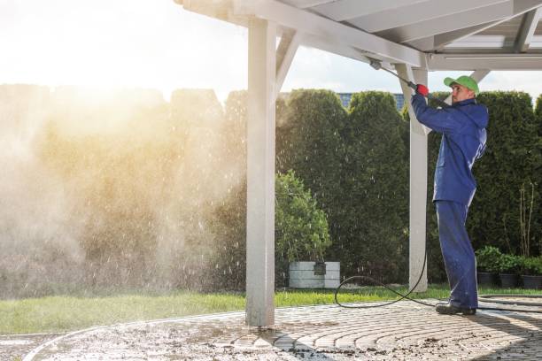 Best Soft Washing  in Woodburn, IN