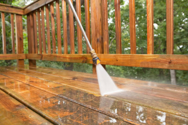 Best Animal Enclosure Cleaning  in Woodburn, IN